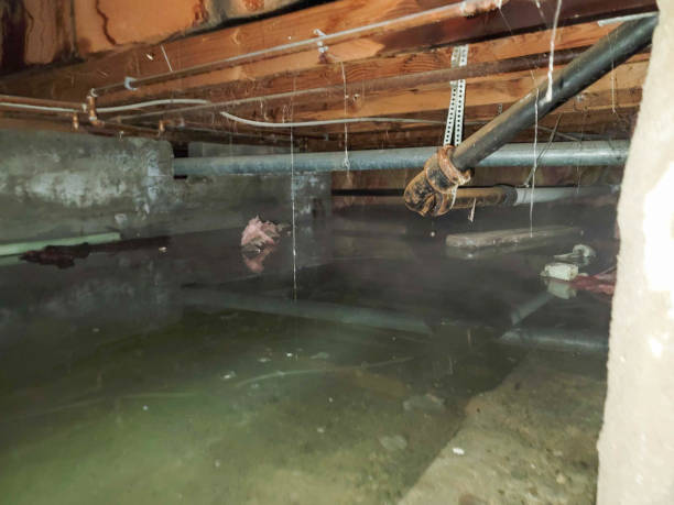 Best Fire Damage Restoration  in Healdton, OK