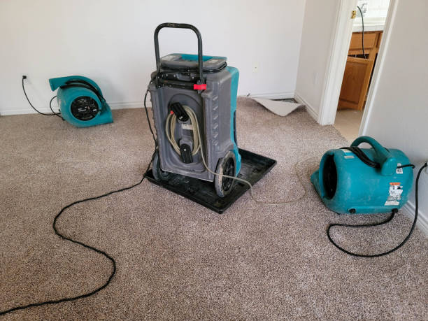 Best Ceiling water damage repair  in Healdton, OK