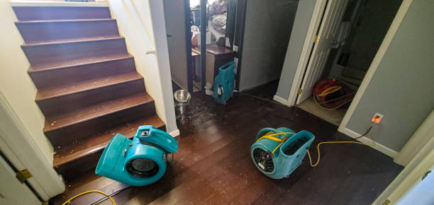 Best Water damage restoration near me  in Healdton, OK