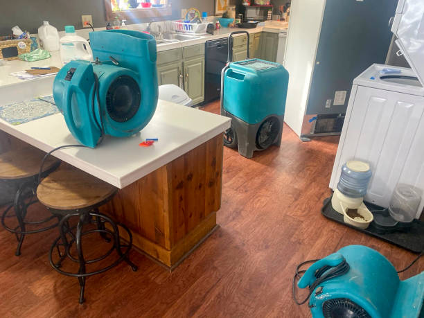 Best Local water damage restoration  in Healdton, OK