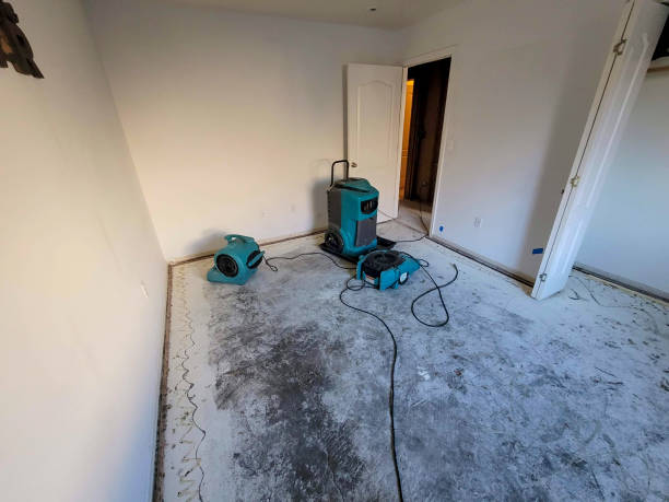 Best Water damage restoration near me  in Healdton, OK