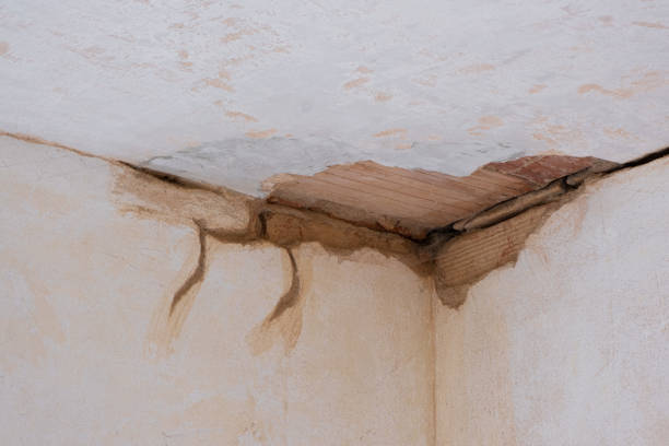 Best Water damage contractors near me  in Healdton, OK