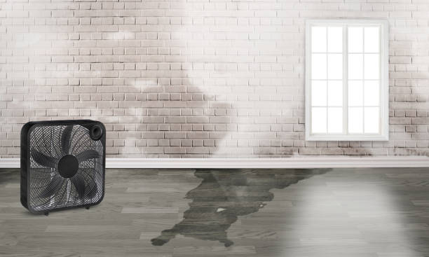Water damage restoration process in OK