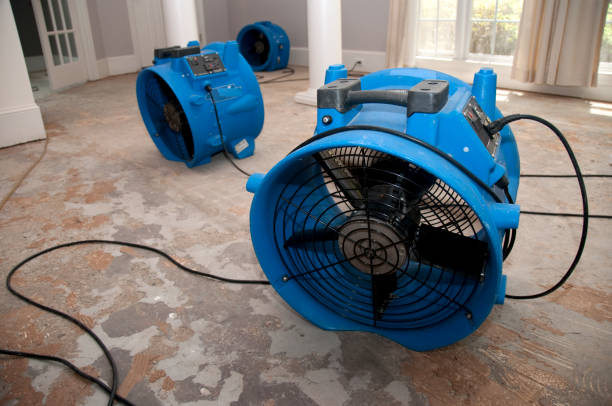 Best Emergency water damage restoration  in Healdton, OK