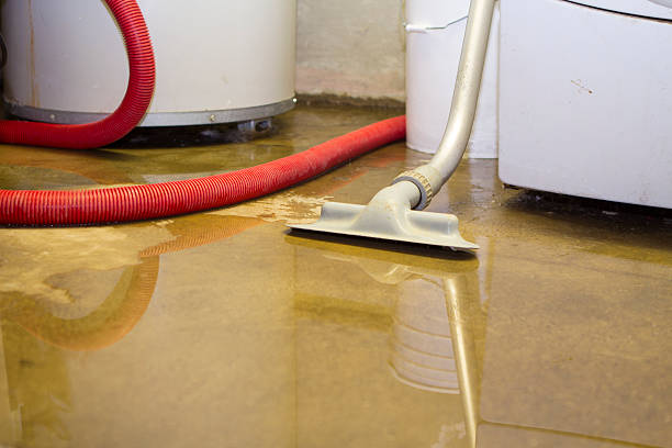 Best Commercial water damage restoration  in Healdton, OK
