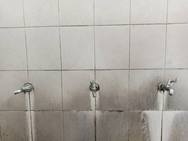 Best Flood restoration services  in Healdton, OK