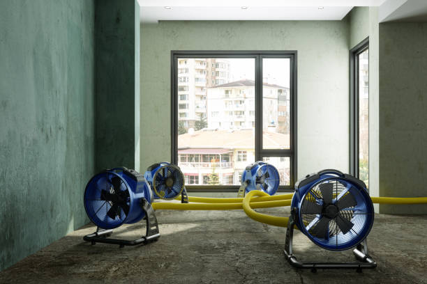 Best Carpet water damage restoration  in Healdton, OK